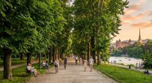 Viale alberato del Parco del Valentino durante l'estate. 